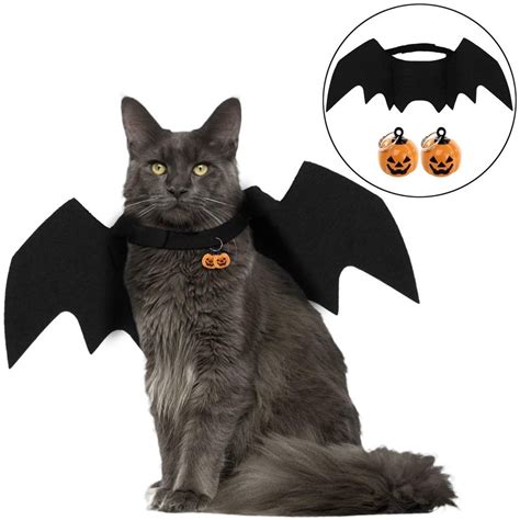 These 25 Cat Halloween Costumes Are Pure Instagram Gold Huffpost Life