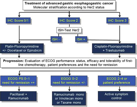 Management Of Metastatic Gastric Cancer Hematology Oncology Clinics