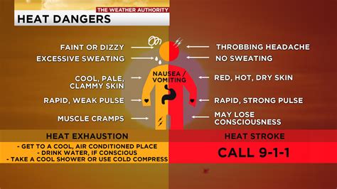 heat dangers  difference  heat exhaustion  heat stroke