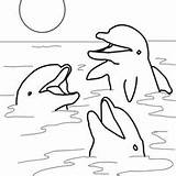 Dolphin Golfinhos Golfinho Colorir Tudodesenhos Desenhos Designlooter sketch template