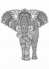 Coloring Animal Pages Mandala Elephant Kids sketch template