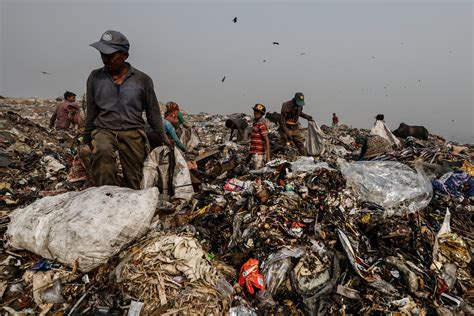 dump killed  son mountains  garbage engulf indias capital   york times
