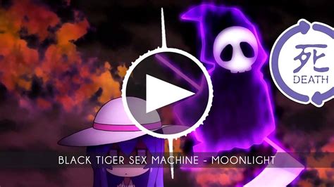 Hd Edm Black Tiger Sex Machine Moonlight Youtube