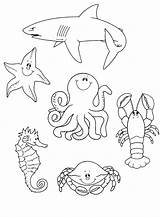Coloring Life Pages Marine sketch template