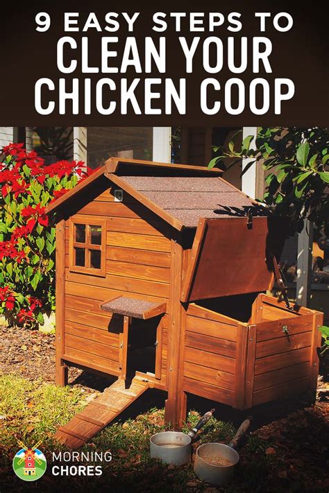clean  chicken coop run  tips