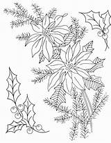 Poinsettia Embroidery Christmas Coloring Patterns Pages Line Vintage Transfers Drawing Hand Printable Holly Flower Pointsettia Pattern Designs Pretty Drawings Floral sketch template