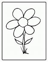 Blume sketch template