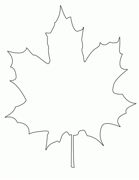 printable maple leaf outline