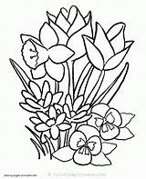 Colorat Flori Desene Plante Planse sketch template