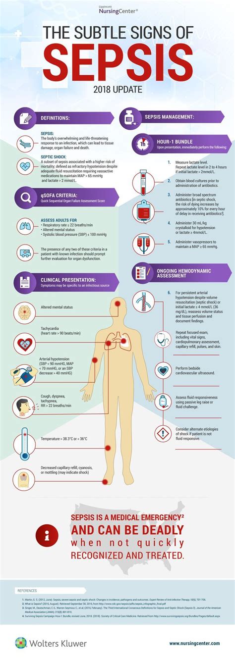 popular sepsis infographic   updated  reflect  hour