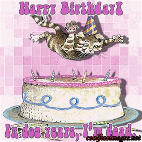 funny birthday wishes coolfreeimagesnet