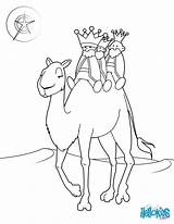 Coloring Camel Three Kings Pages Color Wise Men Print Hellokids Online Christmas Getcolorings Printable sketch template