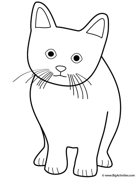 kitten coloring page animals