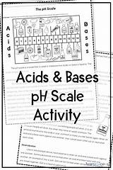 Ph Activity Scale Acids Science Worksheets Printable Bases Reading Choose Board sketch template