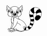 Lemur Coloring Ring Tailed Pages Aye Colorear Para Getcolorings Coloringcrew Dibujo Printable Animals sketch template