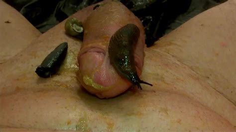 Slugs On My Cock Gay Bizarre Porn At Thisvid Tube