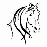 Horse Head Outline Drawing Silhouette Line Drawings Clip Horses Stencil Decal Car sketch template