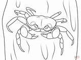 Coloring Crab Pages Crustacean Hermit Coconut Halloween Crabs Supercoloring Drawings Template Sketch 1199 5kb sketch template