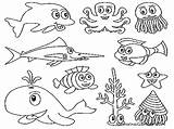 Laut Binatang Mewarnai Untuk Diwarnai Bawah Masing Memiliki Pemandangan Disentuh Kekhasan Keunikan Luar Biasa Indah sketch template