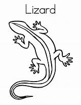 Lizard Coloring Outline Pages Drawing Monitor Getdrawings Line Print Clipartmag Paintingvalley Getcolorings sketch template