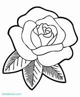 Flower Drawing Rose Line Flowers Draw Drawings Clip Clipart Coloring Pages Colour Simple Sampaguita Wallpaper Cliparts Big Getdrawings Library Gif sketch template