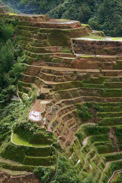 banaue rice terrasses unesco world heritage wonders of