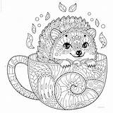 Coloring Pages Adult Animal Stress Anti Print Mandala Printable Hedgehog Antistress Mandalas Cup Choose Board Sheets sketch template