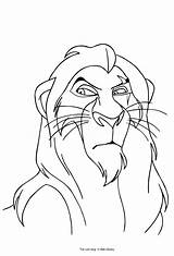 Scar Lion Colorare Disegni Leone Bambini Coloringhome Leoni Walt Copyright sketch template