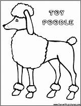 Coloring Poodle Pages Kids Standard Popular Template Coloringhome sketch template