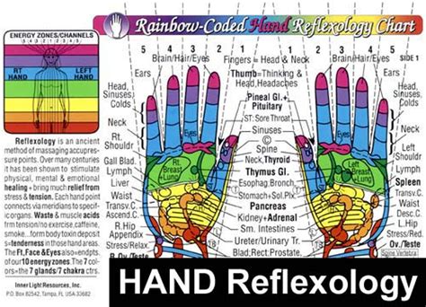 acupuncture and reflexology reflexology charts posters and cards
