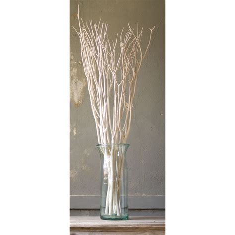 white bleached willow branches