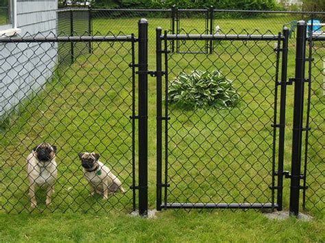 stylish cheap fencing ideas  dogs