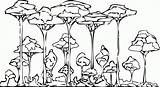 Rainforest Coloring Pages Trees Drawing Printable Forest Rain Clipart Animals Color Cute Colouring Drawings Layers African Print Tropical Simple Getdrawings sketch template