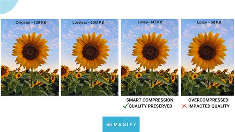 lossy  lossless compression whats  difference
