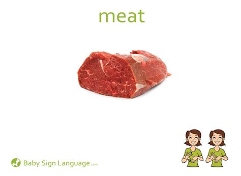 meat flash card