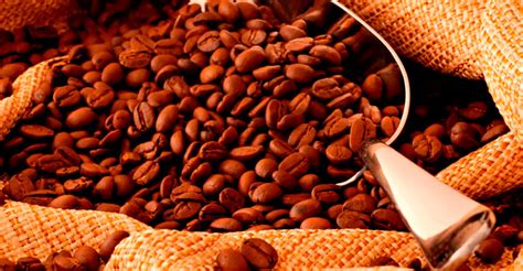 Exportación De Café Crecería Por Segundo Año Consecutivo