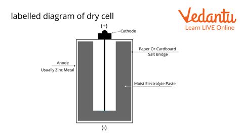 dry cell learn important terms  concepts