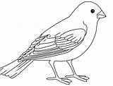Birds Sparrow Passaro Ausmalbilder Colouring Papagei Clipart Dxf Colorir sketch template
