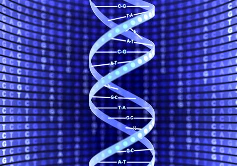 double helix structure  dna