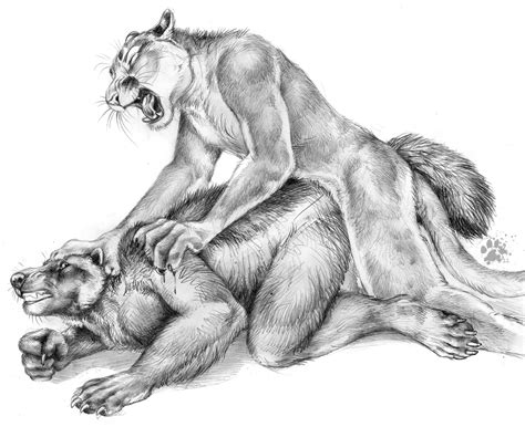 rule 34 anal anthro blotch cougar feline fur furry furry only gay