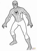 Spiderman Coloring Tegninger Farvelægning Aranha Homem Avengers Salvo sketch template