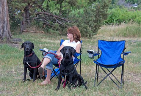 vrouw met twee zwarte honden stock afbeelding afbeelding