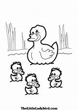 Duck Ducks Coloring Baby Pages Colouring Pond Wanted Drawing Printable Clipart Color Getdrawings Theme Getcolorings Print Mommy Kids Choose Board sketch template