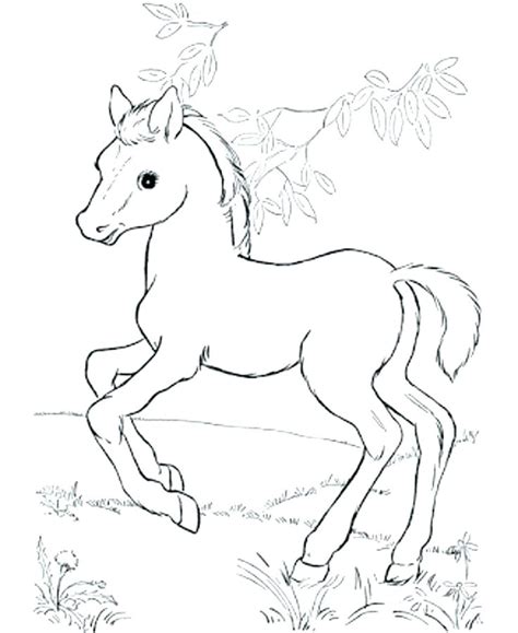 horse head coloring page youngandtaecom   horse coloring