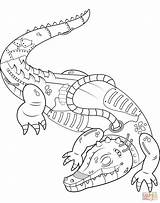 Coloring Pages Steampunk Alligator Printable Drawing Paper sketch template