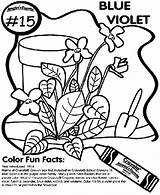 Coloring Violet Pages Blue Crayola Comments Print sketch template