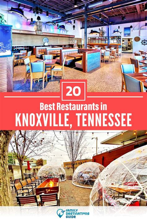 restaurants  knoxville tn top rated places  eat