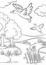 Ducks Grassland Meer Binnen Bos Getdrawings Svg Crafter sketch template