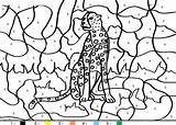 Tiger Tigre Coloring Magique Zahlen Cheetah Ausmalen Hellokids Coloriages Afrique Nombre Farben Guépard Nombres Wildtiere Chrétien Drucken sketch template