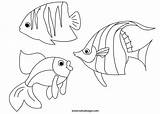 Pesci Stampare Tuttodisegni Marini Pesce Disegnare Segno Colorato sketch template
